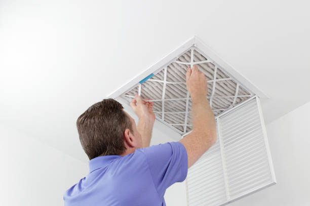 Best Mold and Mildew Removal from Ducts in Laguna Hills, CA